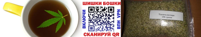 как найти закладки  Бакал  мориарти официальный сайт  Canna-Cookies марихуана 