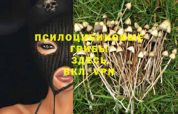PSILOCYBIN Алексеевка