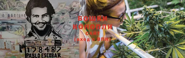 сатива Алзамай