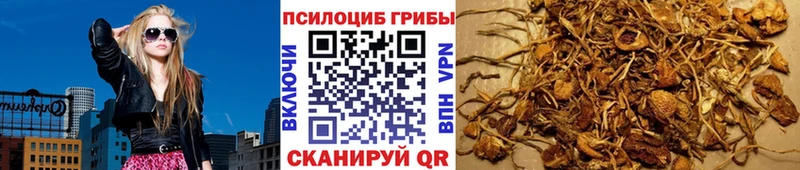 купить наркоту  Бакал  Галлюциногенные грибы GOLDEN TEACHER 