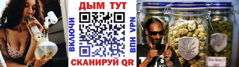 Шишки марихуана ГИДРОПОН  как найти закладки  Бакал 